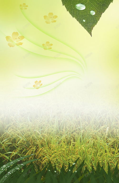 自然画卷 高清生态环境海报素材全解析