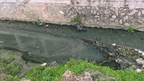 江西城市生活污水处理 顽疾为何久拖不治？