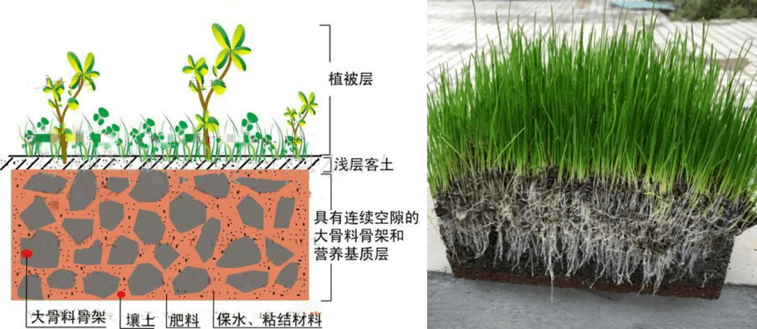 植生混凝土 应用前景广阔的环境友好型护坡材料